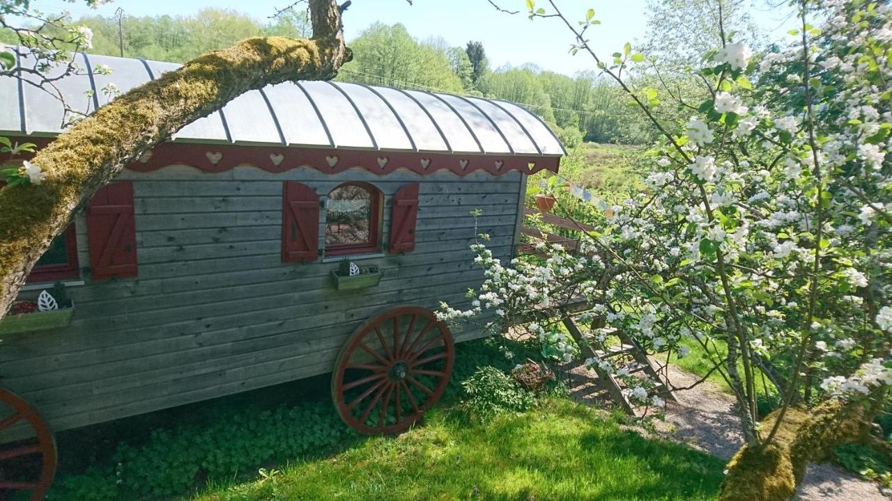 Saint-Michel-sur-MeurtheRoulotte Le Temps De Rever住宿加早餐旅馆 外观 照片